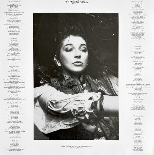 Kate Bush Hounds Of Love LP Album vinyl record 2024 Argentina Import remastered