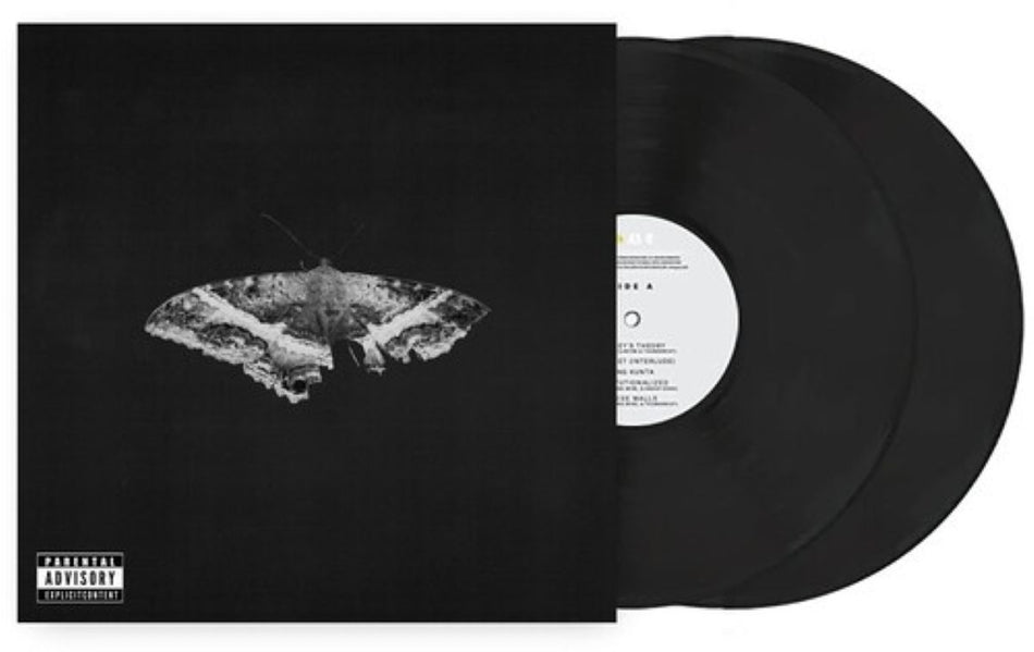 Kendrick Lamar To Pimp A Butterfly Vinyl LP Alternate Artwork,