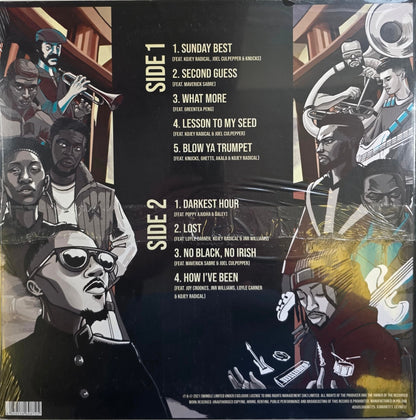 Swindle The New World Vinyl LP Blue Marbled