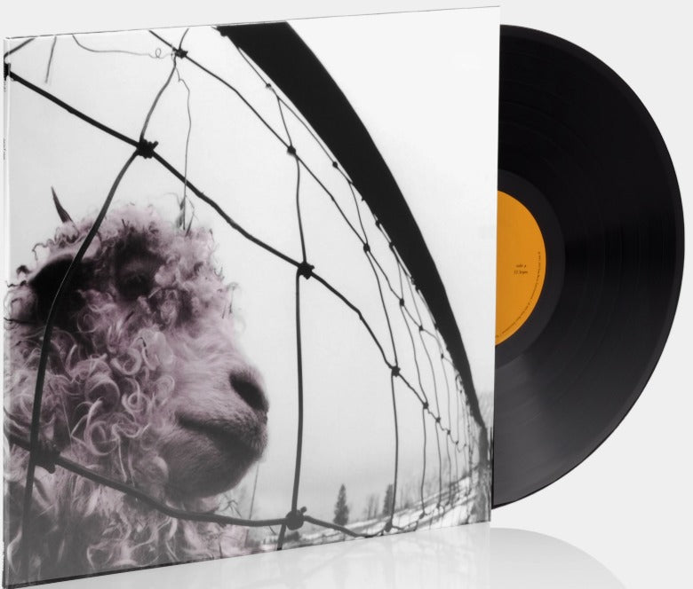 Pearl Jam Vs Vinyl LP Gatefold Sleeve