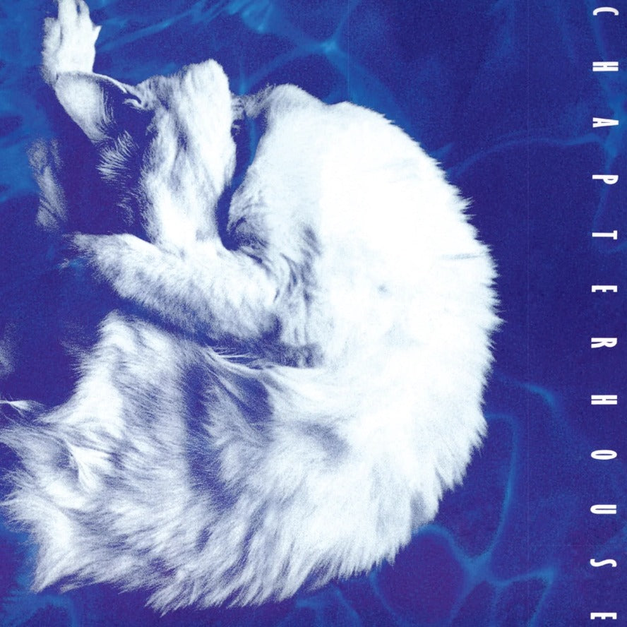 Chapterhouse Whirlpool (1LP Black) Pre Order 23/10/2026