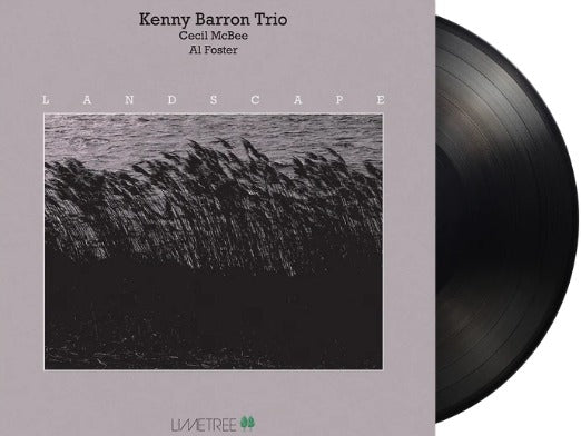 Kenny Barron Trio / Landscape (1LP Black) (2LP Black) Pre Order 03/07/2026