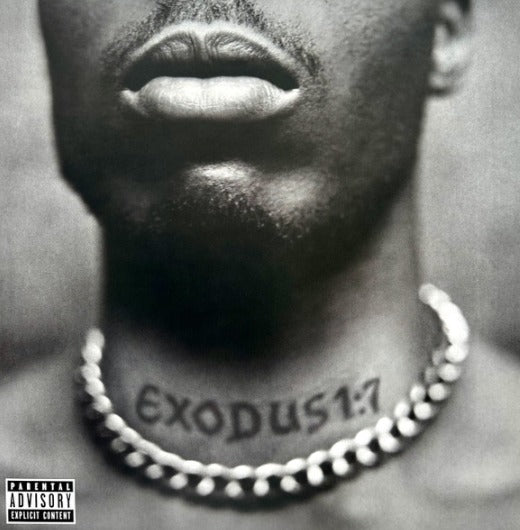 DMX Exodus Vinyl LP
