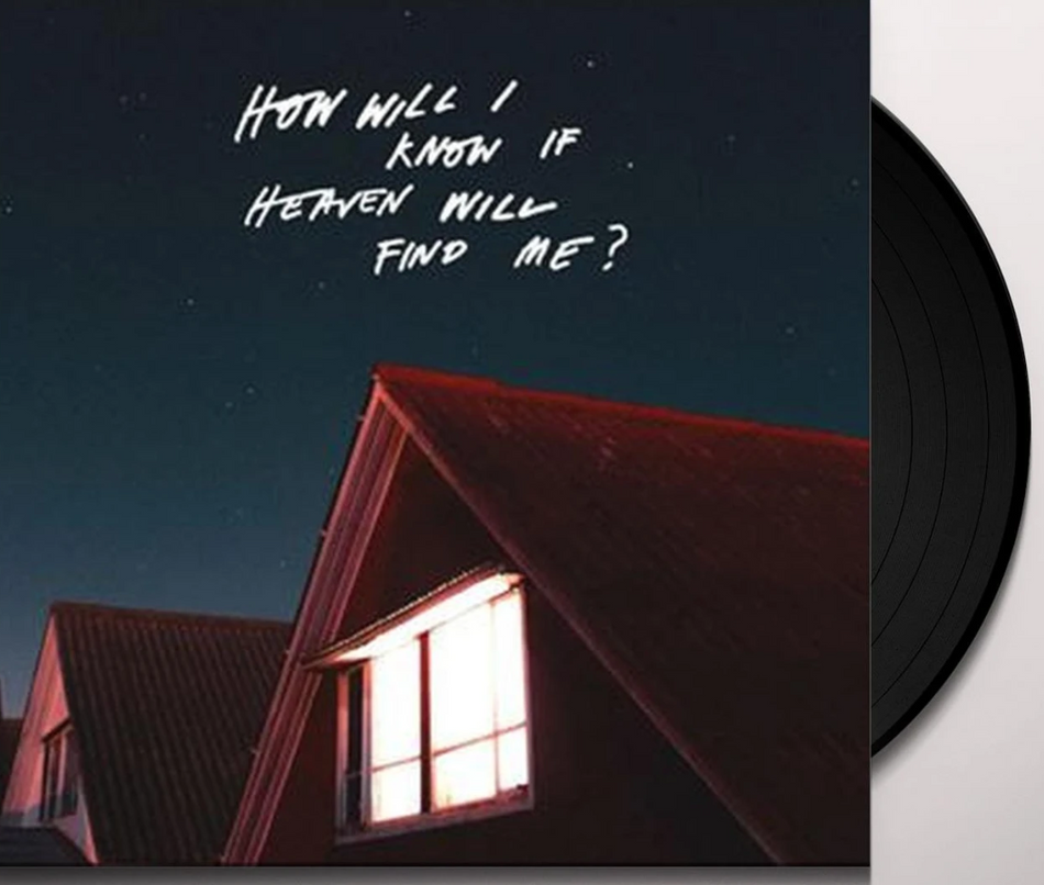 The Amazons How Will I Know If Heaven Will Find Me? Vinyl LP