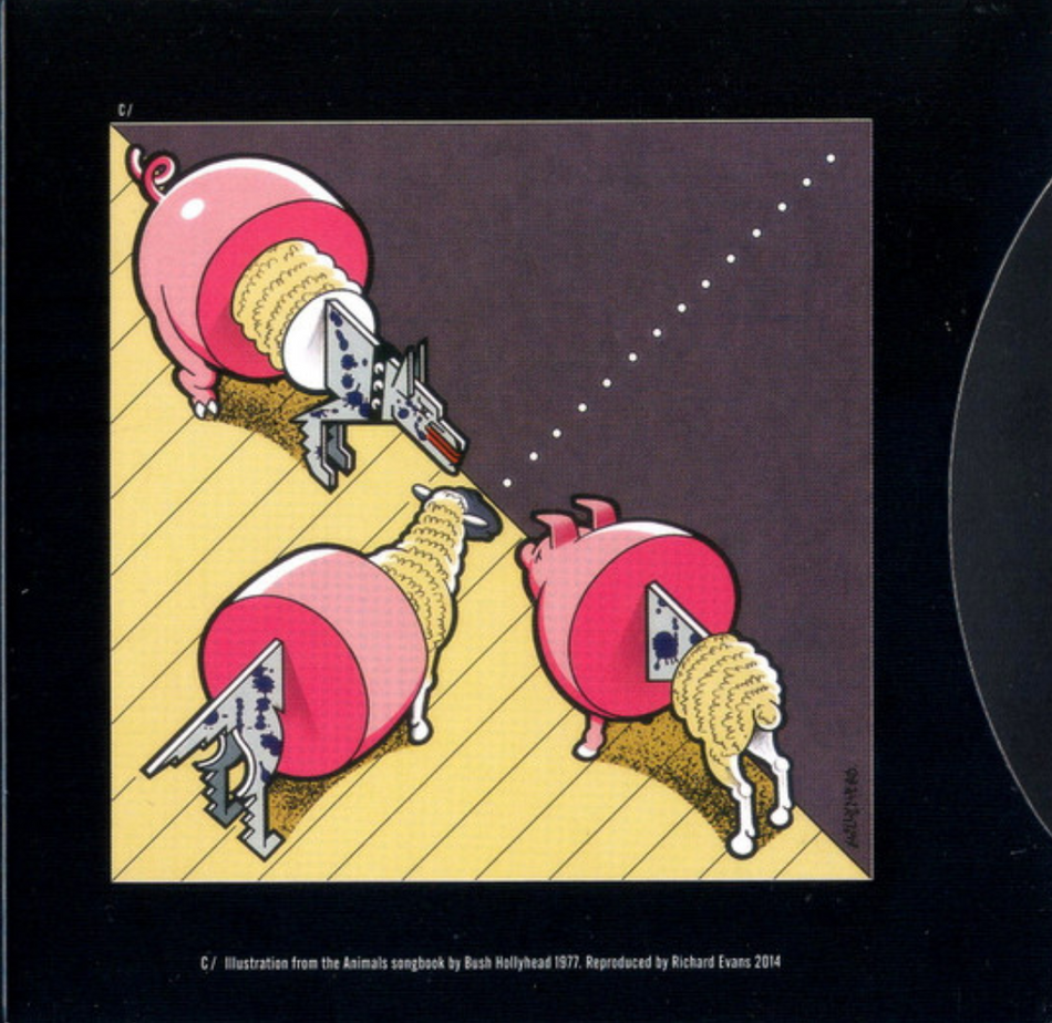 Belfast Rock LP Vinyl Limited Splatter Punk Compilation