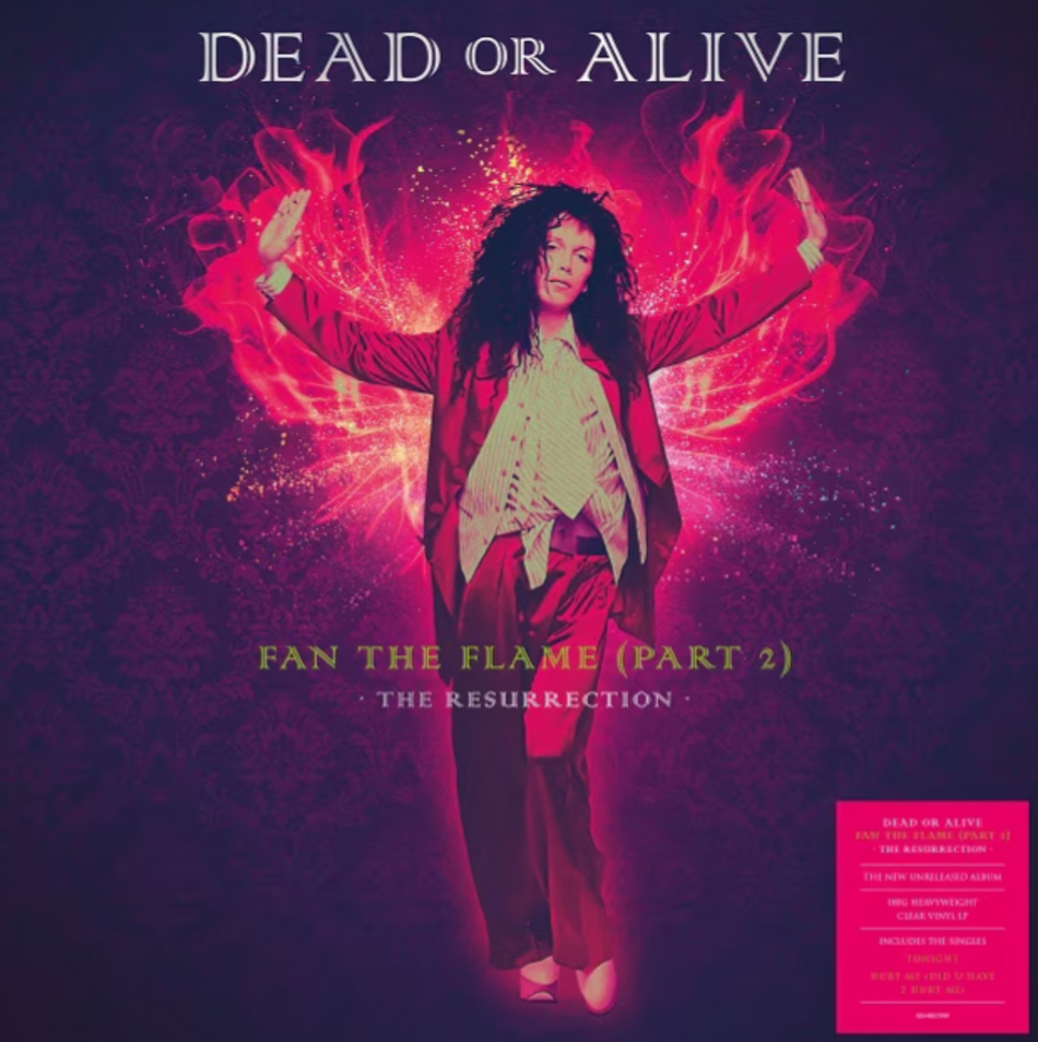 Dead Or Alive Fan The Flame Part 2 Vinyl LP