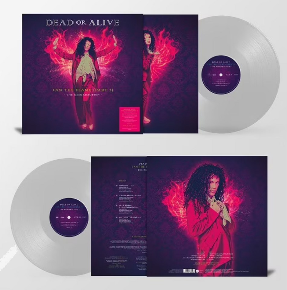 Dead Or Alive Fan The Flame Part 2 Vinyl LP