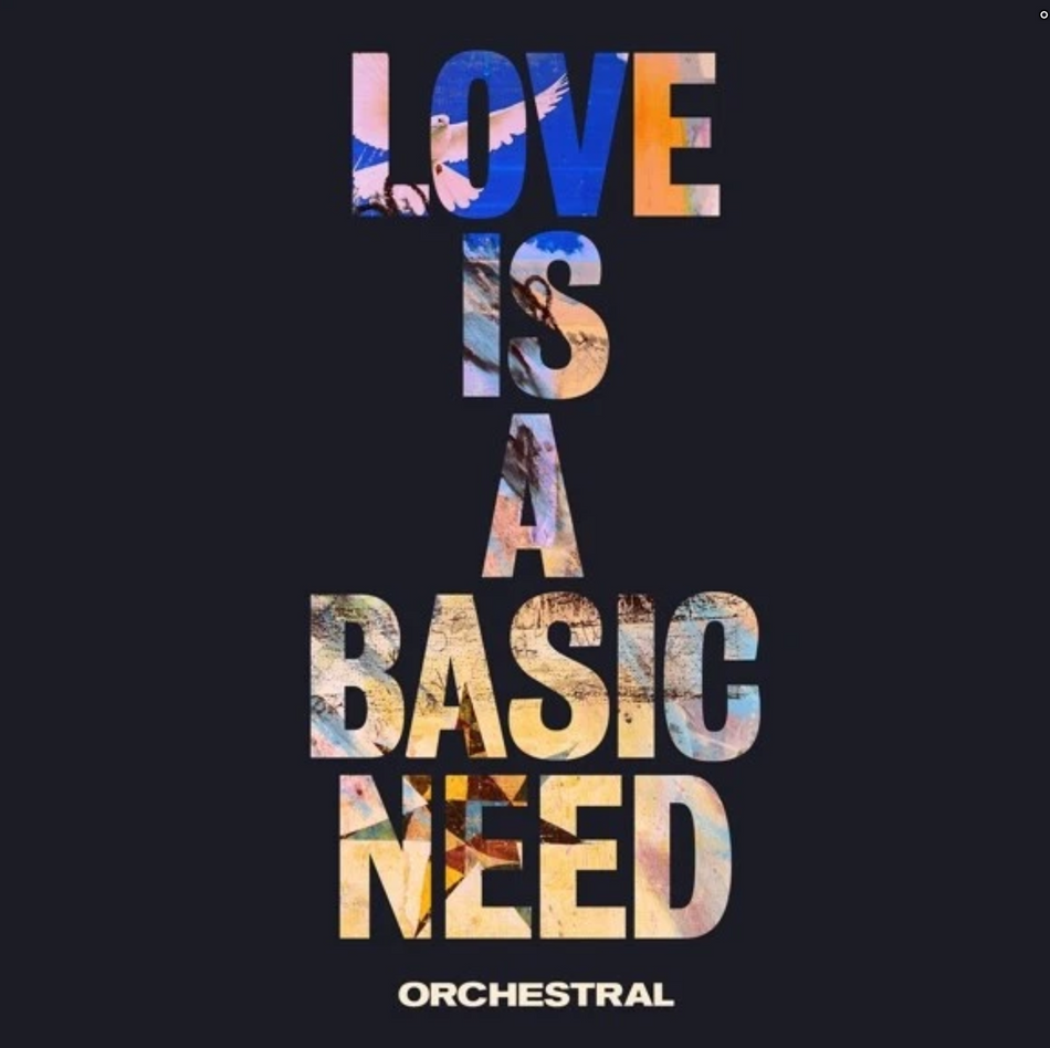Embrace Love Is A Basic Need Orchestral Vinyl LP