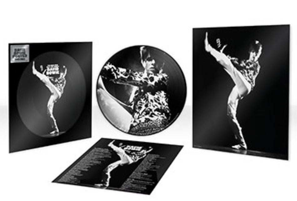 David Bowie The Man Who Sold The World Vinyl LP Picture Disc