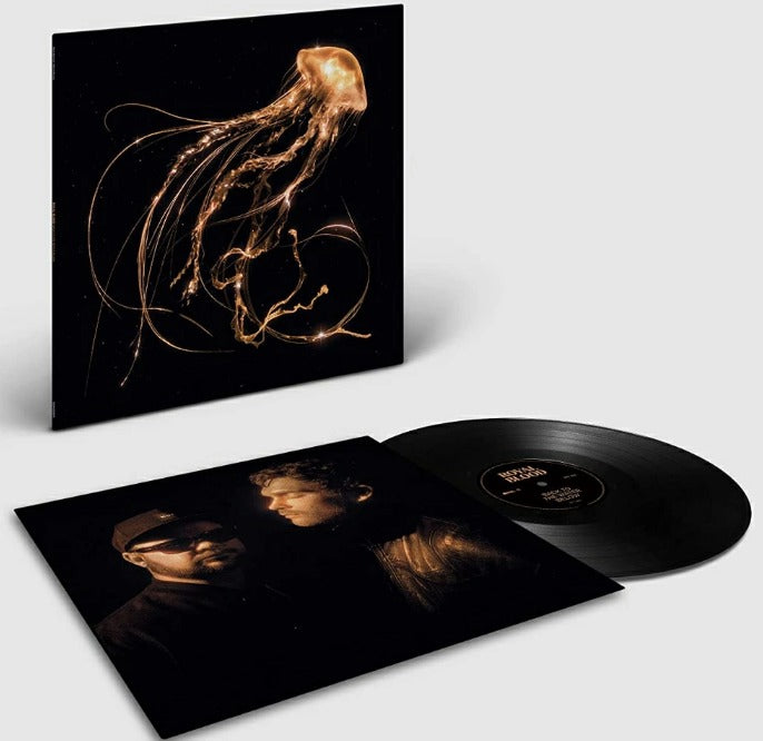 Royal Blood – Back To The Water Below Vinyl LP