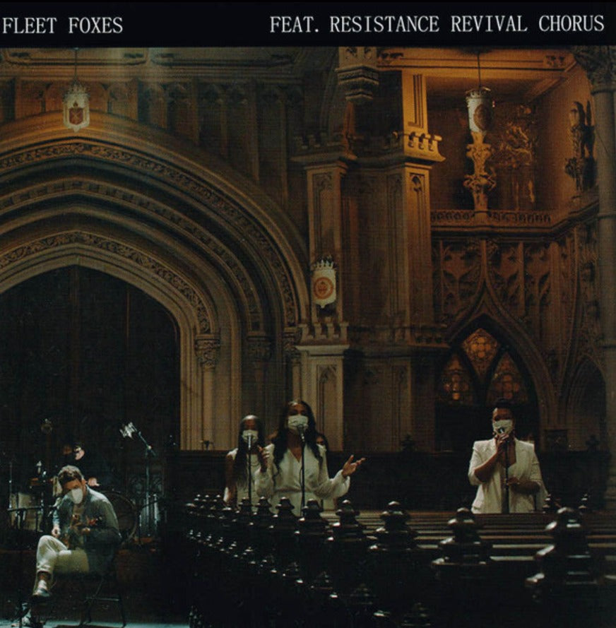 Fleet Foxes Can I Believe You Wading In Waist High Water 7" Vinyl record RSD