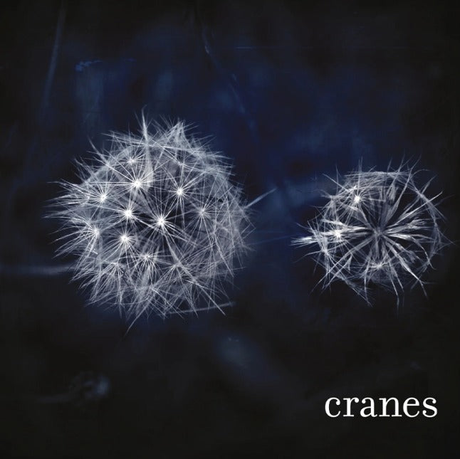 Cranes – Cranes Vinyl LP Silver