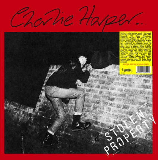 Charlie Harper Stolen Property Vinyl LP RSD 2024 Grey
